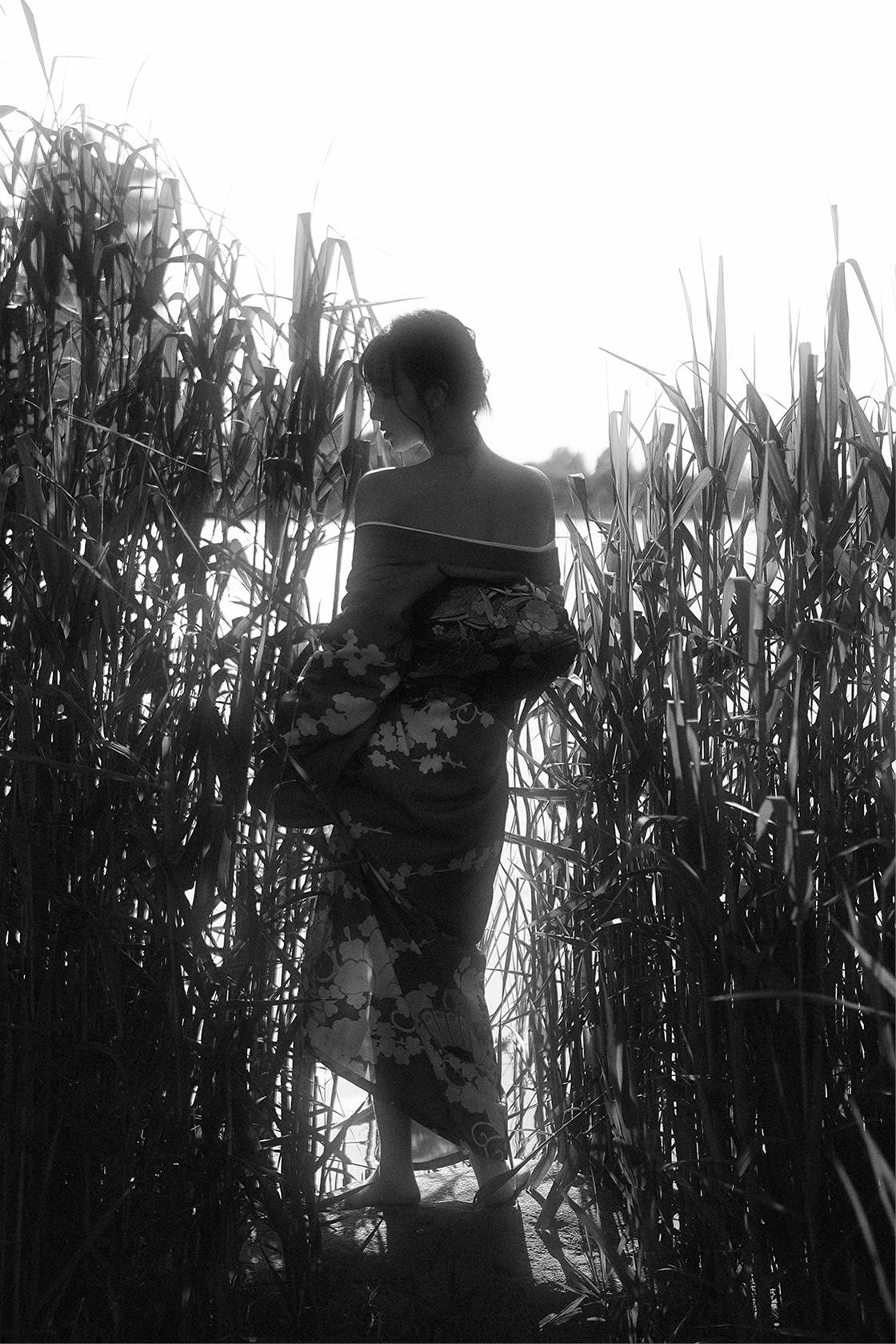 摄影师 A-mu 昙花 [31P-47MB]