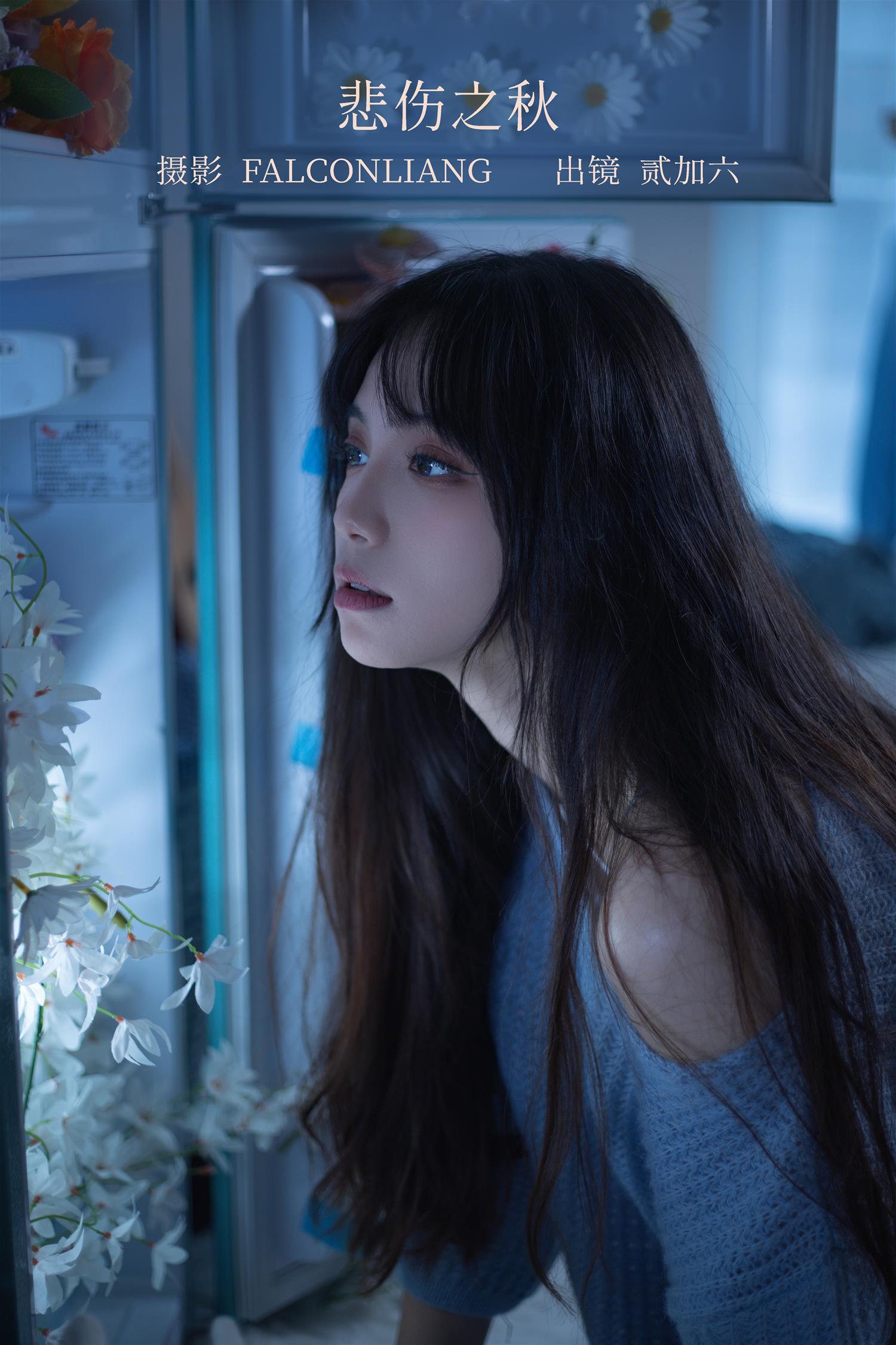 贰加六 悲伤之秋 [27P-333MB]